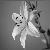 ignislilium :iconignislilium: