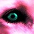 :iconignisoculos:
