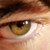 :iconigorovisk: