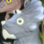 :iconiguanaking10: