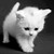 :iconigy7: