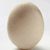 :iconihateeggs: