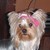 :iconiheartmewmew: