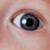 :iconihondjes: