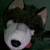 :iconii-r4nd0m-w0lf-ii: