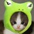 :iconijustwanttosee113: