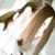 :iconikemari: