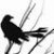 :iconikincrow: