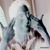 :iconikingkhan: