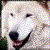 :iconikuzimil: