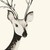:iconil-cervo-piccolo: