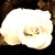 :iconil-divette: