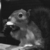 :iconilamtea: