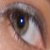 :iconilariaot: