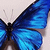 :iconildi20: