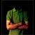 :iconileonetoye100: