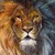 :iconileu007: