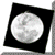 :iconilgeko: