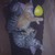 :iconiliaandlink: