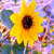 :iconIliadandtheOddysey: