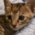 :iconilis8312: