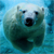 :iconilka-d-signer: