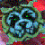 :iconIllidan-9: