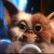 :iconilliop: