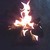 :iconilltempered1: