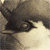 :iconillum1nate: