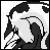 :iconillumerhiya:
