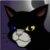 :iconillumon: