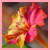 :iconillusenoftheearth: