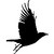 :iconillusio-5: