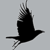 :iconIllusio-5: