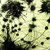 :iconillusion-of:
