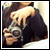 :iconillusionarymagic: