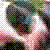 :iconilmarchesedicarabas: