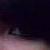 :iconilookedatthemoon: