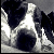 :iconilovecitylife: