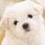 :iconilovecupcakes223: