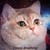 :iconilovedemyx876: