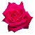 :iconiloveducks: