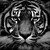 :iconilovefantasyworld: