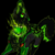 :iconilovefliqpy: