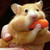 :iconilovehamsters101: