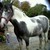 :iconilovemerlin46: