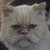 :iconilovemudkips:
