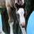 :iconilovemyponys: