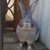 :iconilovemyrabbit: